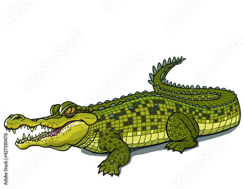 Crocodile