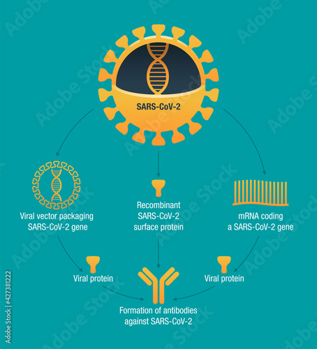 COVID vaccine types. RNA, subunit, viral vector