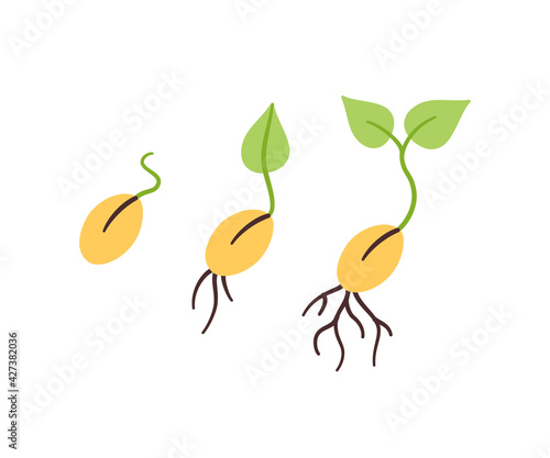 Seeds and seedlings. Germination of sprouts in doodle style. Hand drawn isolated vector illustration on white background