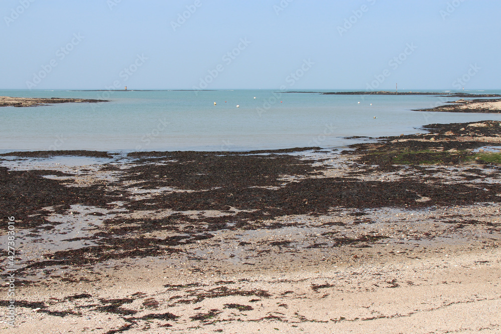 beach and atlantic littoral in piriac-sur-mer (france)