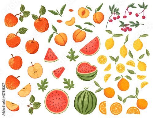 Fototapeta Naklejka Na Ścianę i Meble -  Big collection of fresh raw fruits apple watermelon orange lemon cherry and peach vector illustration on white background