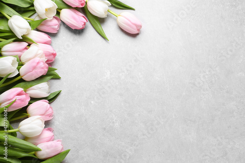 Beautiful pink spring tulips on light grey background, flat lay. Space for text