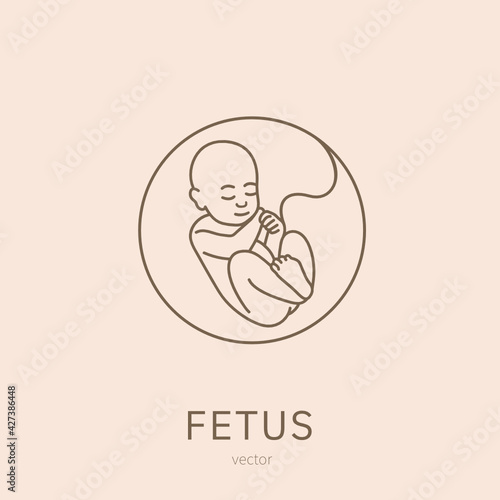 Baby in womb. Pregnancy. Fetus symbol. Round logo of embryo and umbilical cord. Medical emblem for pregnancy center.