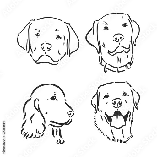 Silhouette simple head dog. Vector illustration. portrait of a dog, vector sketch illustration