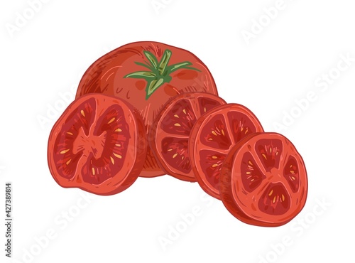 Whole ripe fruit, half and slices of sweet red tomato with peduncle. Composition with fresh organic vegetables. Colored hand-drawn vector illustration of ripened veggies isolated on white background