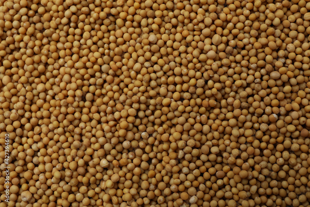 Mustard seeds on whole background, close up Mustard seeds on whole background, close up