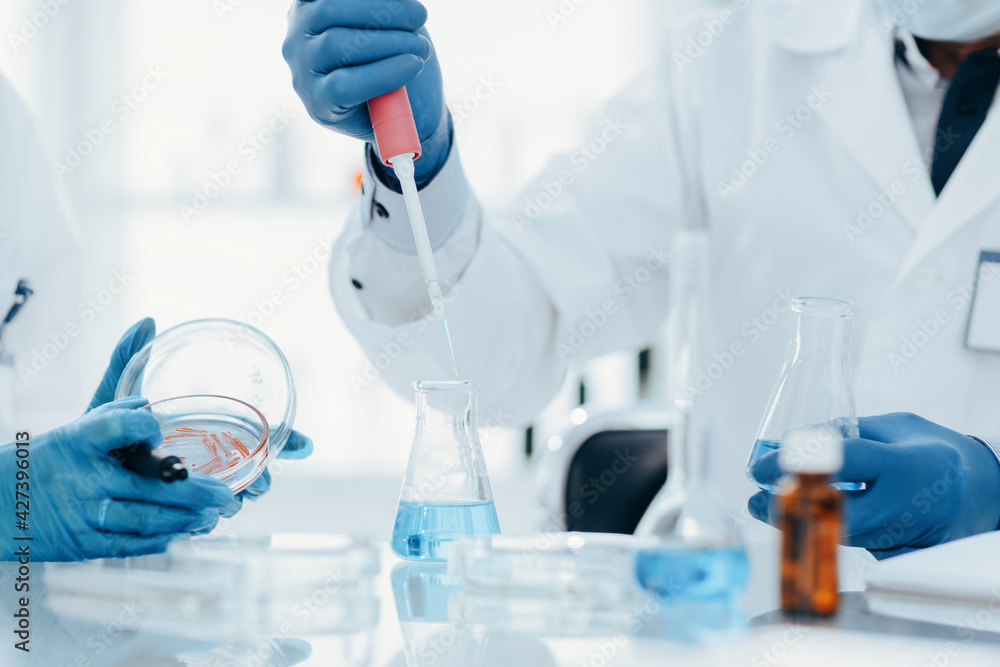 close up. Scientists testing liquid from a Petri dish. close up. Scientists testing liquid from a Petri dish.