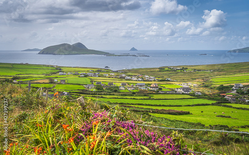 Dunquin village on the edge of Atlantic Ocean with surrounding fields, farms and small islands, Dingle Peninsula, Wild Atlantic Way, Kerry, Ireland photo