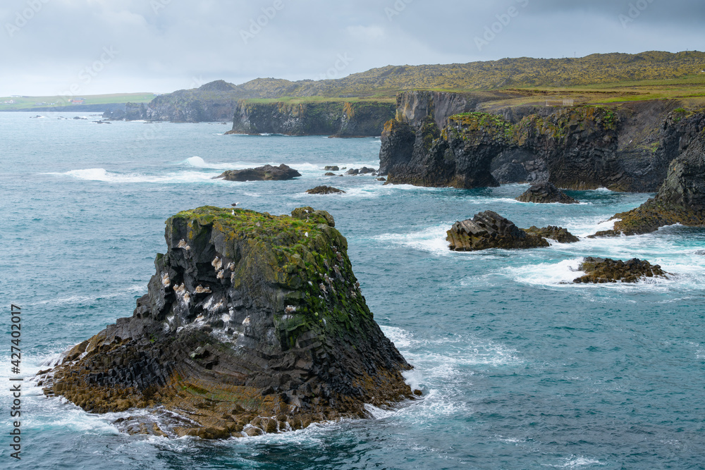 Rocks of Arnarstapi with nesting birds, Iceland, Snaefellsness. Black stone cliffs with many birds nests.