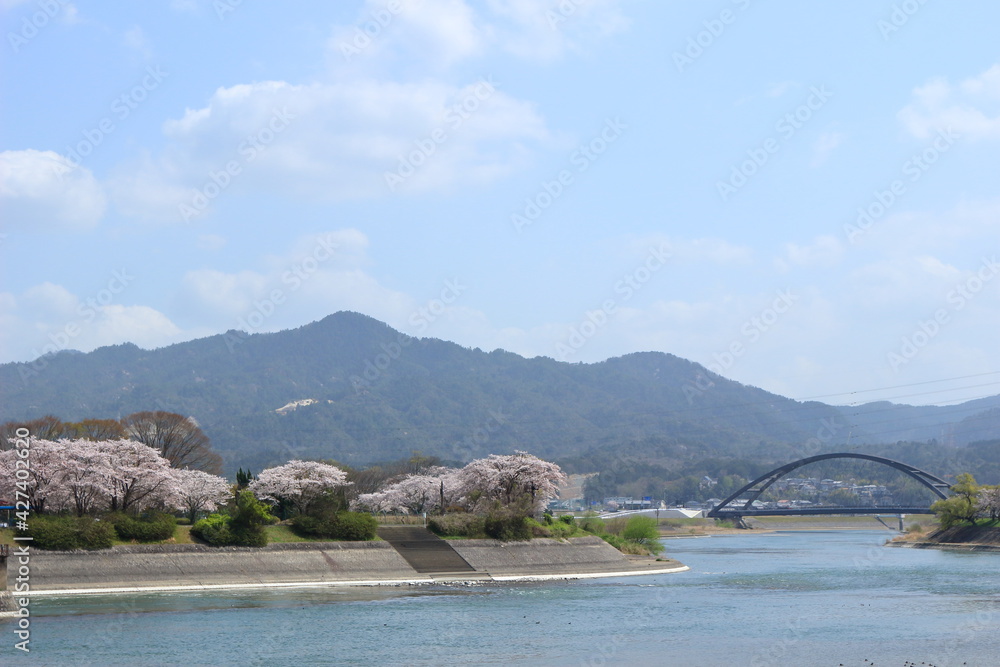 Naklejka premium 瀬田川洗堰の下流の風景