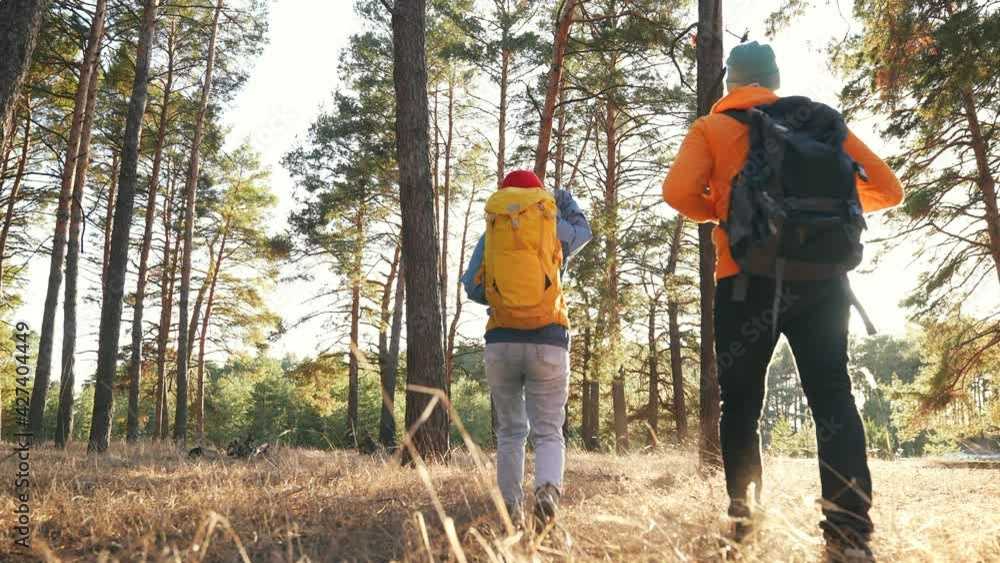 Teamwork. a group of hikers tourists walk through the forest with backpacks. team together travel teamwork business concept. man and woman hikers walking through the woods. hiker unity in the woods Teamwork. a group of hikers tourists walk through the forest with backpacks. team together travel teamwork business concept. man and woman hikers walking through the woods. hiker unity in the woods