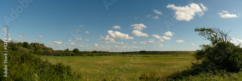 Fotografie, Obraz Green meadow and blue sky landscape panorama