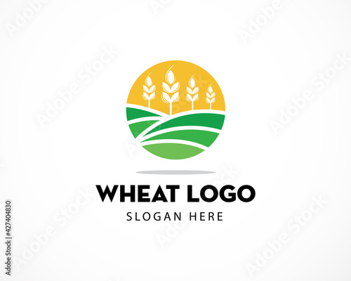 Agriculture Wheat Logo Template vector icon design