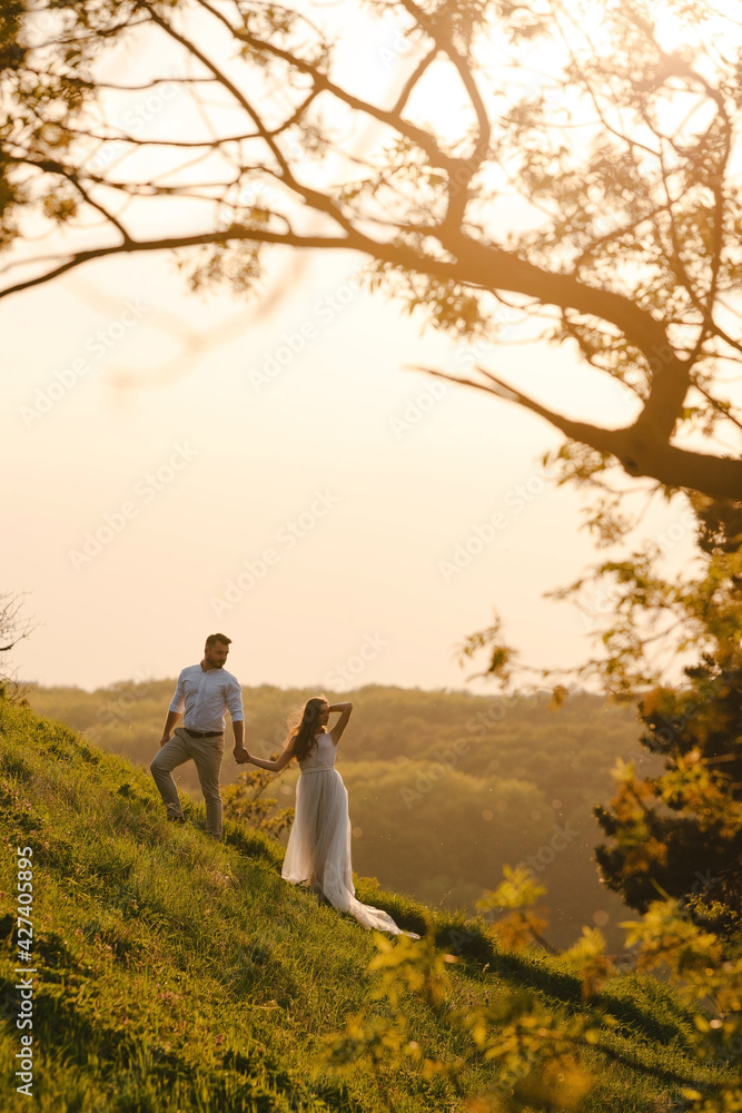 Beautiful young wedding couple. Groom and bride in gorgeous dress holding hands while standing on the green slope, hill. Sunset in Carpathian mountains