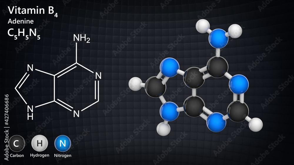 Molecular structure of Vitamin B4 (Adenine). 3D illustration. Chemical