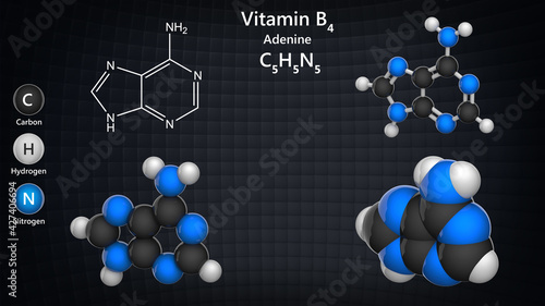 Molecular structure of Vitamin B4 (Adenine). 3D illustration. Chemical structure model: Ball and Stick + Balls + Space-Filling. photo