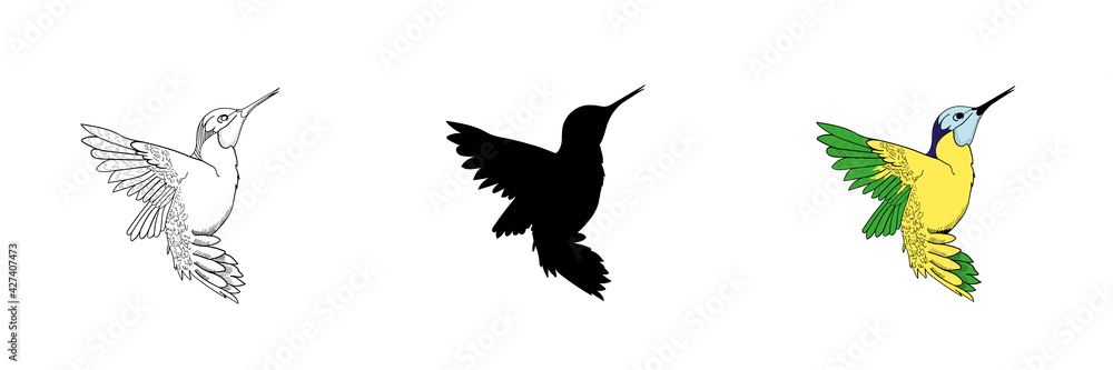 Fototapeta premium Set of three hummingbirds in different style.