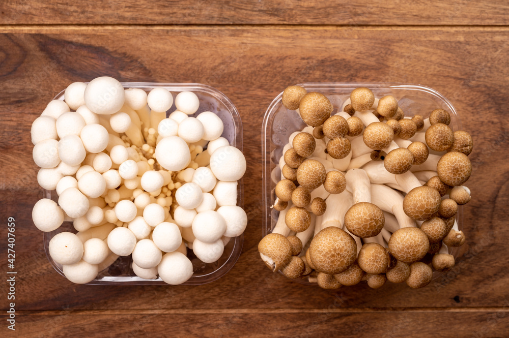 Shimeji edible mushrooms native to East Asia, buna-shimeji is widely cultivated and rich in umami tasting compounds Shimeji edible mushrooms native to East Asia, buna-shimeji is widely cultivated and rich in umami tasting compounds
