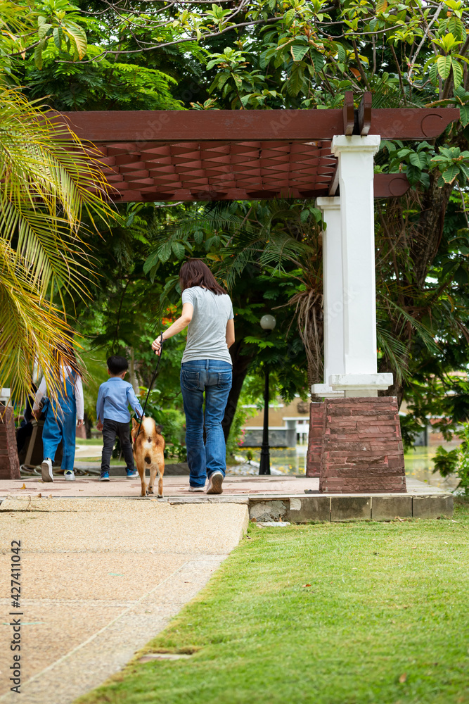Obraz premium Asian mother child and girl walking together with Shiba inu dog in public park back view. Happy famiy with pet