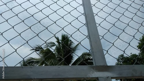 The door, made of a gray metal grille, was moving to the right, behind a green coconut tree. 