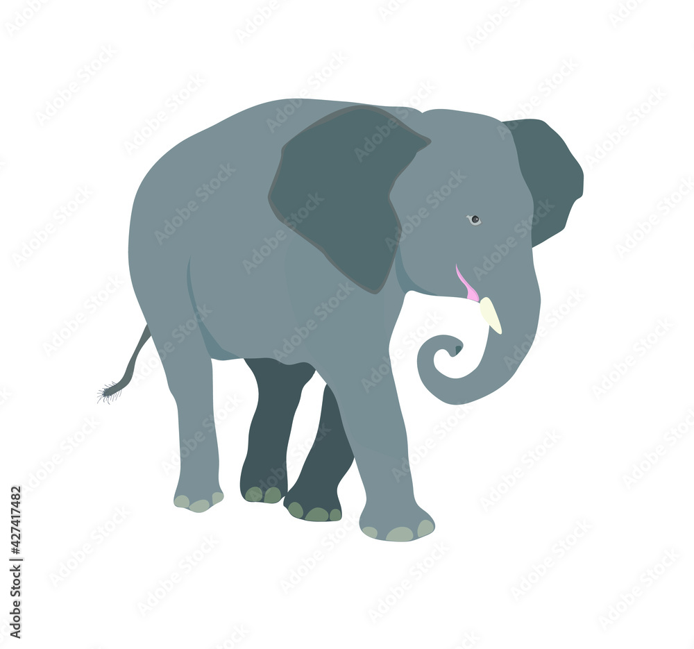 Wild animal African elephant with large ears and trunk. white background vector illustration