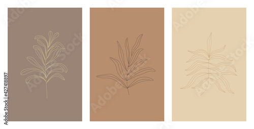 Obraz na płótnie Set of three botanical drawings in warm beige and brown colors. Wall art botanical poster. Abstract plant design for print, cover, flyer, card, brochure. Trendy vector illustration in minimal style. w salonie