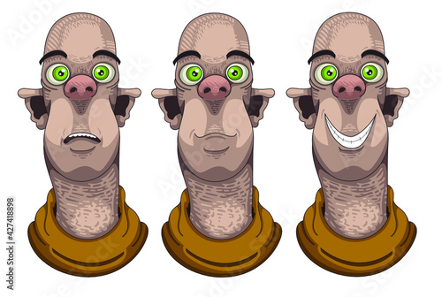Visage d'un personnage avec diverses expressions