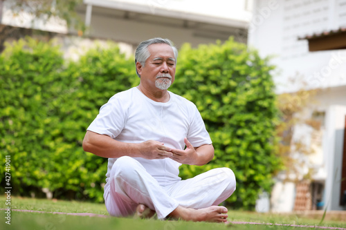 Asian Elderly man doing yoga in the garden.