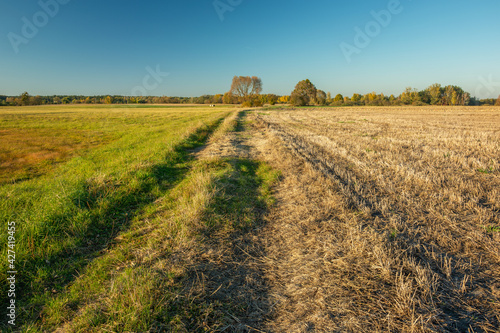 Rural road through the meadow and field  clear sky