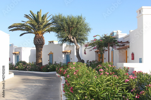 Greek resort. Road in the hotel complex, white houses and flowers in the Greek style. 