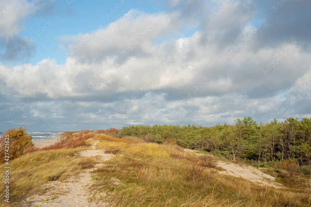Seashore overgrown with grass near the forest in autumn. Curonian Spit Landscapes
Seashore overgrown with grass near the forest in autumn. Curonian Spit Landscapes