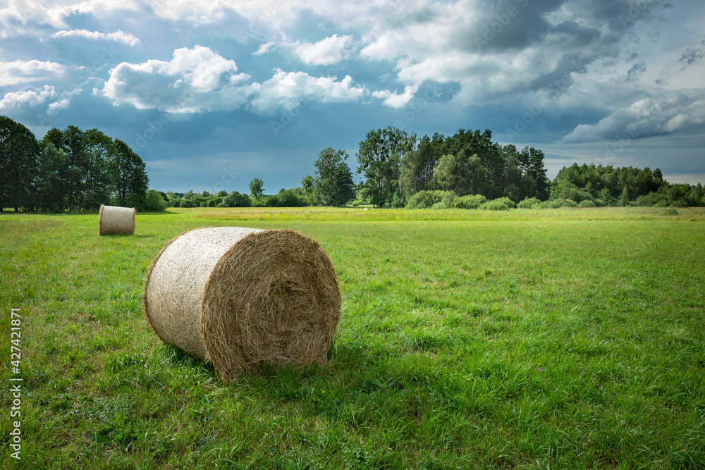 Hay bale on a meadow and clouds on the sky Hay bale on a meadow and clouds on the sky