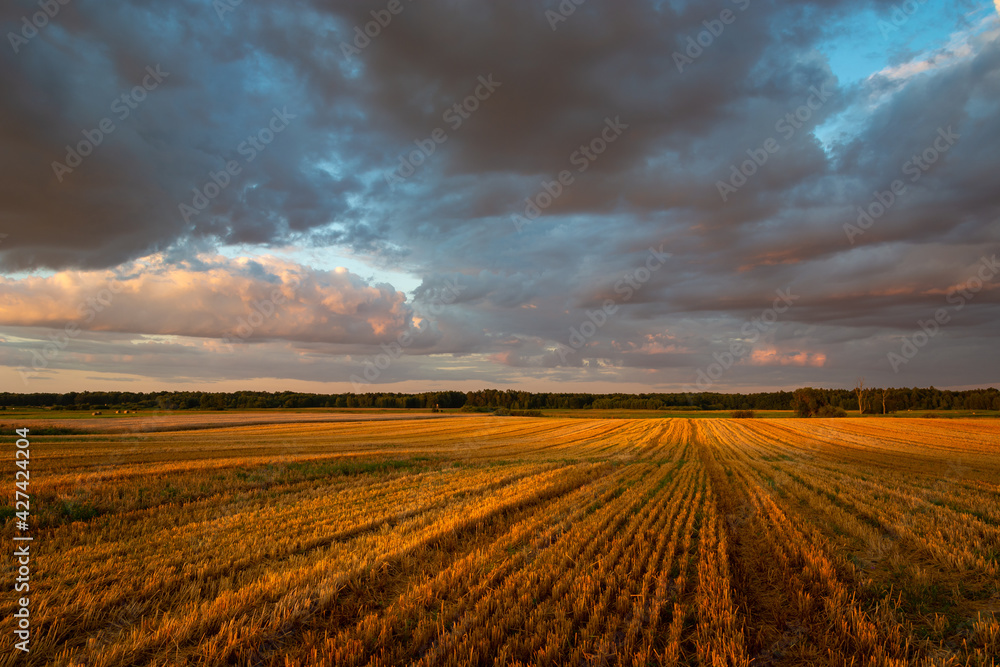 View of the stubble field and clouds during sunset View of the stubble field and clouds during sunset