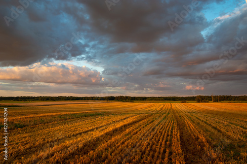 View of the stubble field and clouds during sunset
