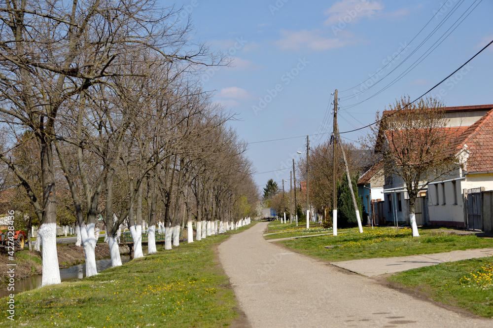 spring in Backi Petrovac, Vojvodina