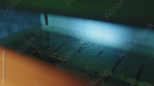 Wallpaper Mural Water system inside of contemporary vertical farm. Water used for plant growing flowing into pond through pipe Torontodigital.ca