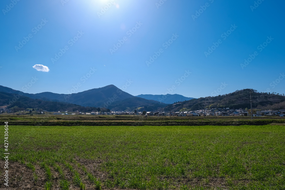 Fototapeta premium 塩田の風景