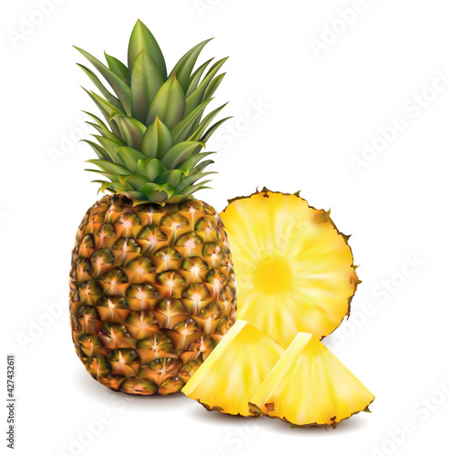 Realistic Detailed 3d Whole and Round Slices Pineapple Set. Vector