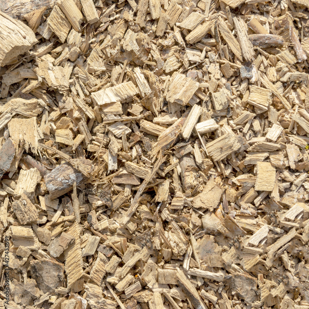 wood shavings texture close-up background wood shavings texture close-up background