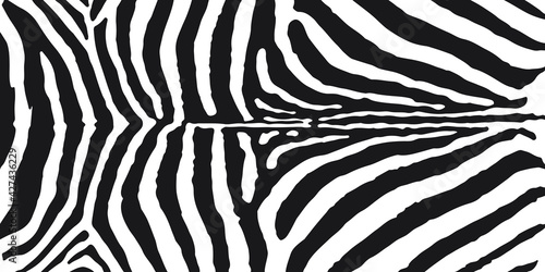 Zebra skin print vector illustration. Black and white wild animal skin or fur.