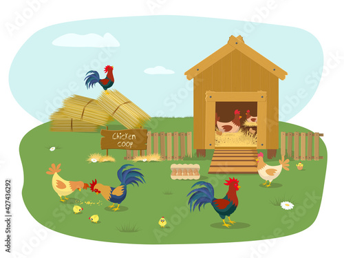 Farm Animals. Chicken coop with many chicks. Chicken vector cartoon chick character hen and rooster in love with baby chickens or hen sitting on eggs