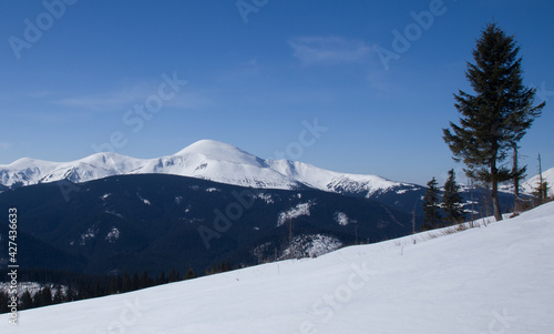 Carpathians, Montenegrin ridge in the snow © Андрій Лучишин