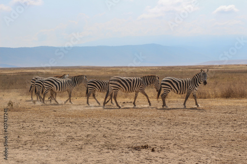 Ngorongoro Krater