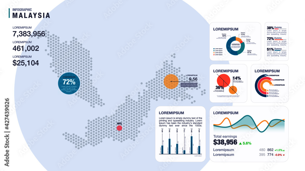Detail infographic vector illustration. Map of Malaysia and Infographic elements bar and line