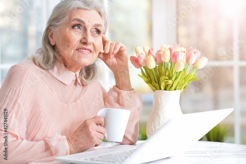 Happy senior woman using laptop