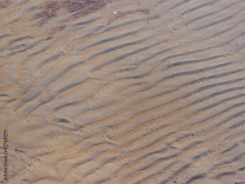 Background of river sand through a layer of river water on the banks of the Irtysh River