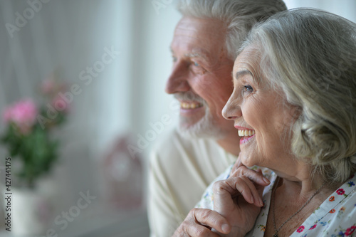 cheerful senior couple at home