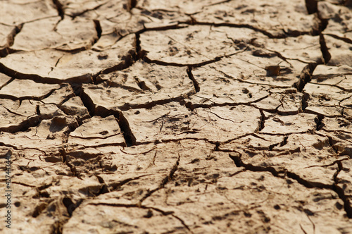 Even a short rain cannot stop the drought photo