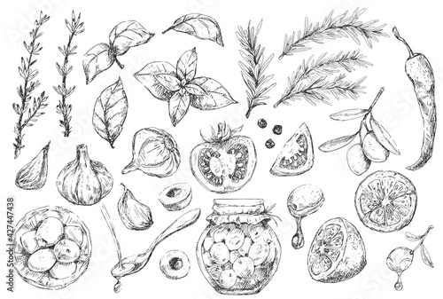 Set of mediterranean cuisine elements and spices