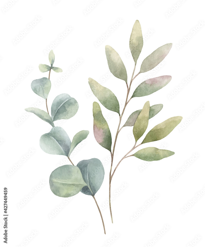 Obraz premium Watercolor vector arrangement of green branches and leaves.